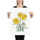 Daffodil Watercolor Print