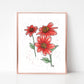 Bishop Dahlia Watercolor Print