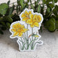 Daffodil Magnet