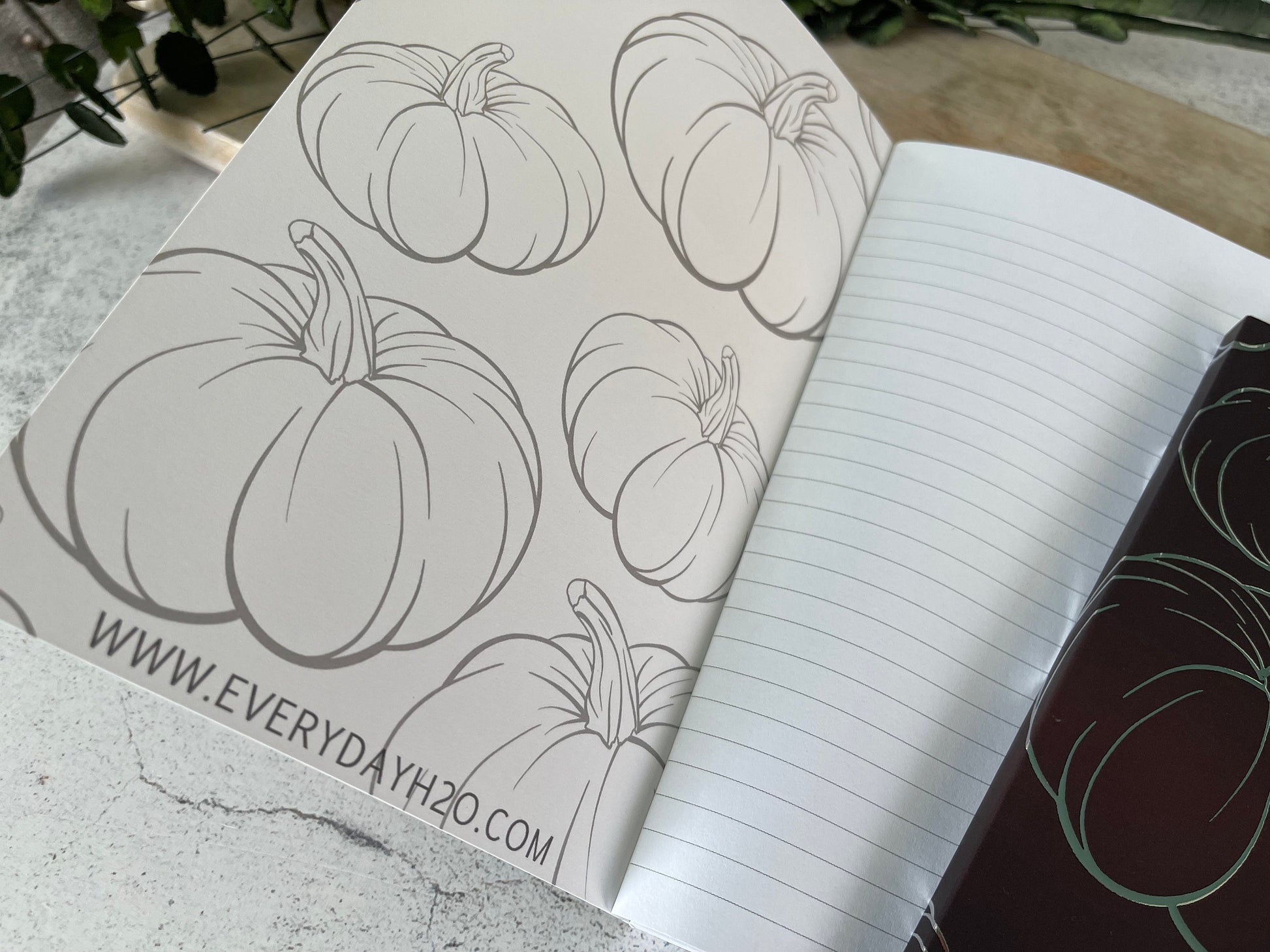 Lined Pumpkin Notebook, Pumpkin Foil Notebook, Fall Layflat Notebook, Autumn Notebook, Fall Stationary, Pumpkin Gift, School Notebook